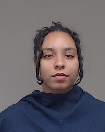 Malave, Teresa Raquel booking photo