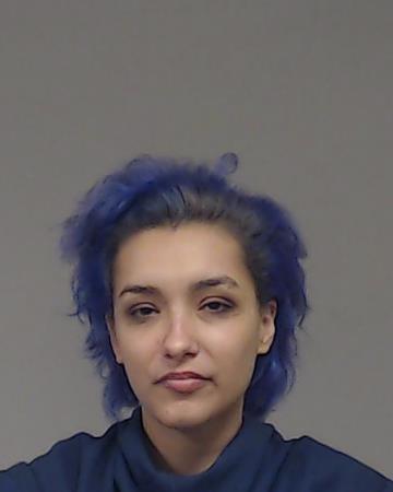 SCHOLL, RHEACHEL GRACE booking photo