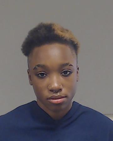 Warner, Diamond Joetricia booking photo