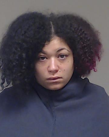 SMITH, VANNESSA MICHELLE booking photo