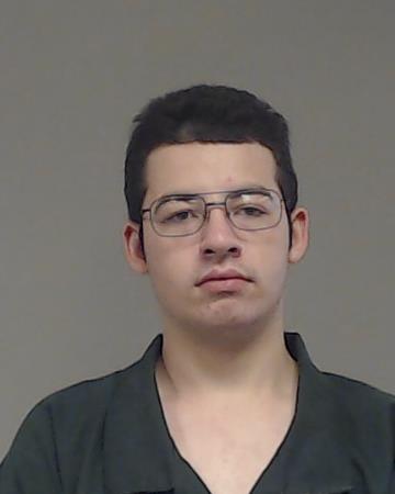 Card, Cohen Michael booking photo