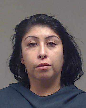 TREVINO, ANTONIA RENEE booking photo