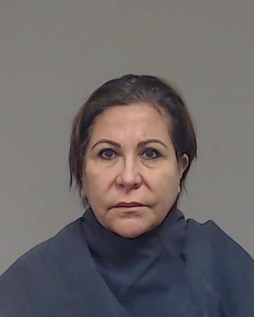 Gonzalez, Andrea booking photo