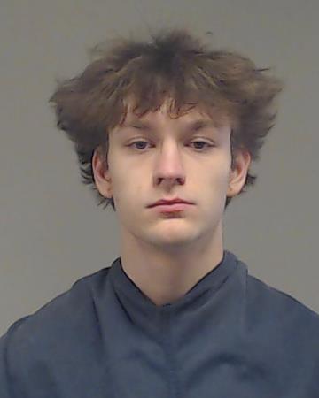 Bibikov, David booking photo