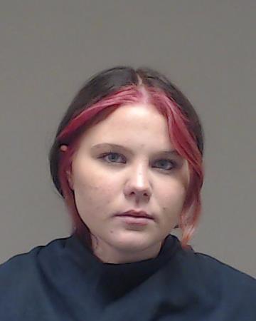 Sanford, Arianna Lynn booking photo