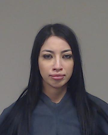 Yanez Rodriguez, Liliana booking photo