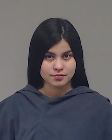 Castro Rincon, Eyerlin Michelle arrested by Collin County SO/PD