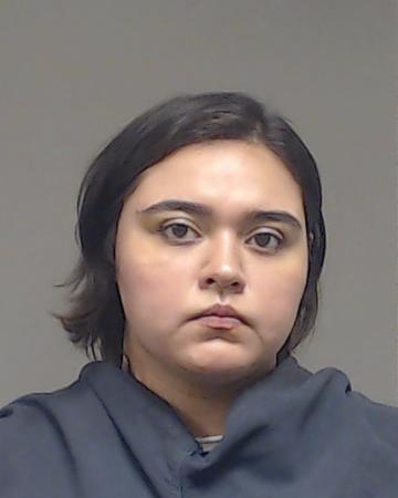 Alvarenga, Katheryn Ann booking photo