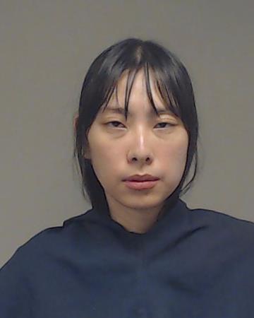 YIN, SHAN booking photo