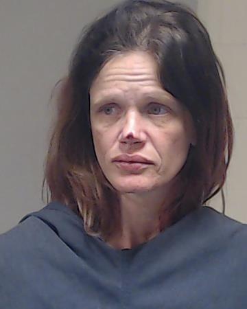 Meadows, Tamara Michelle booking photo