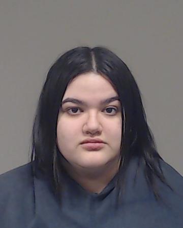 DeAnda, Amanda booking photo