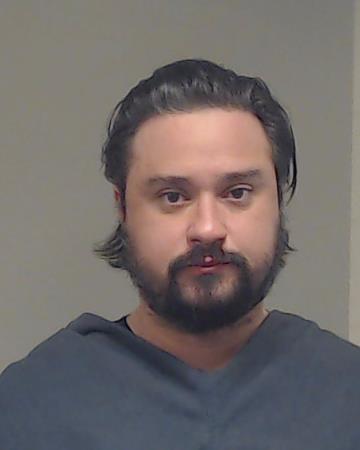 DINGAS, SETH NICHOLAS booking photo