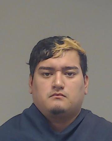 OZUNA, FABIAN DAMIAN booking photo