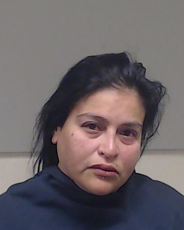 Hernandez, Monica booking photo