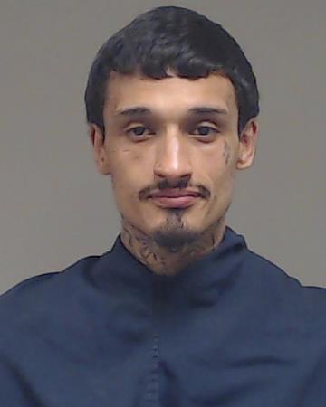 Swenson, Anthony Paul arrested by Collin County SO/PD