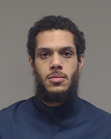 Hankins, Dakota R booking photo