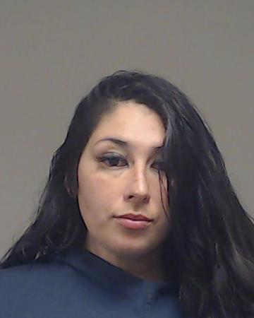 SANCHEZ, ANDREA ISABELLE booking photo