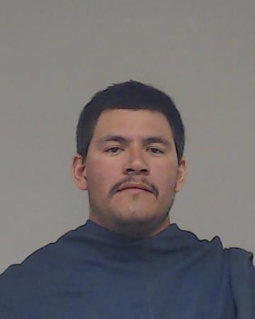 Perez Reveles, Olive booking photo