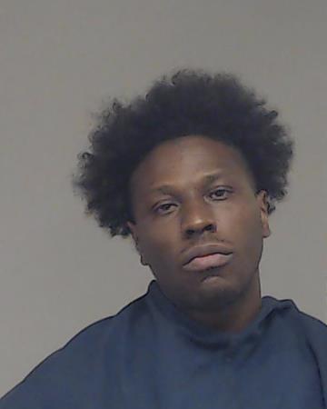 Ellison, Brandon Lyn booking photo