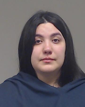 Lucena Briceno, Isabel Cristen booking photo