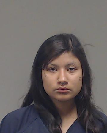Castillo, Destiny Monique booking photo