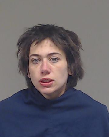Duncanson, Mary Lisa arrested by Collin County SO/PD