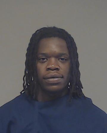 Dzwairo, Takapiwanashe Christia booking photo