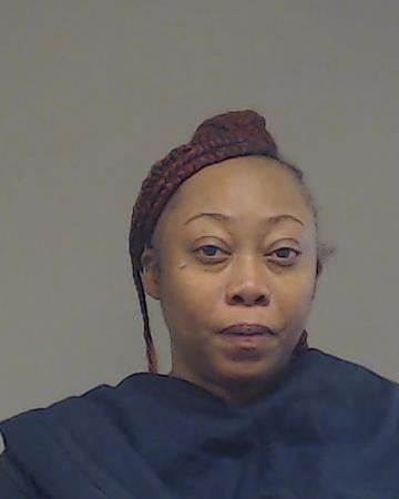 Dockins, Nina Sharah booking photo