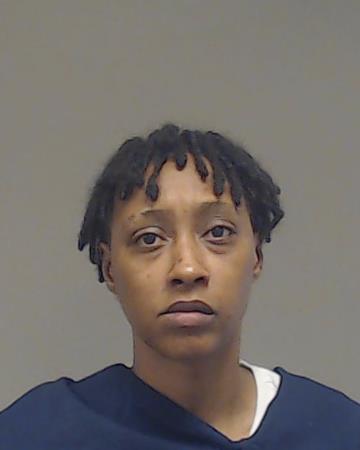 WILSON, ASHLEY RENEE booking photo