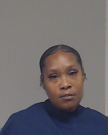 Johnson, Paulette Catrice booking photo