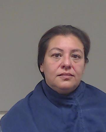 Sales Hernandez, Tania Aline booking photo