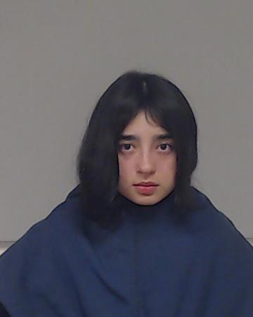 Hernandez, Harmony booking photo