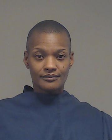 James, Kari Elizabeth booking photo