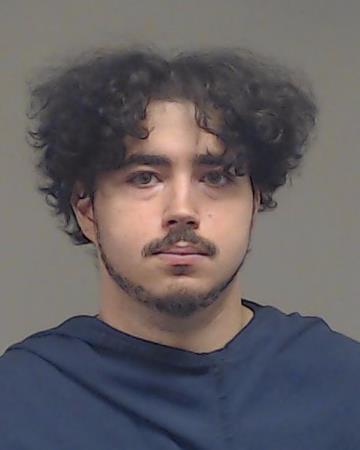 Gomes, Luis Henrique booking photo