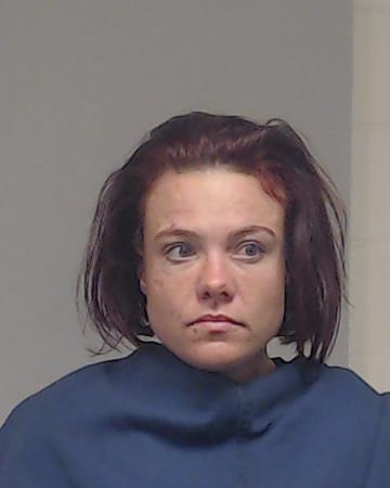 Biesenberger, Alyssa Nichole booking photo