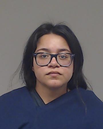 Sanchez, Savannah booking photo