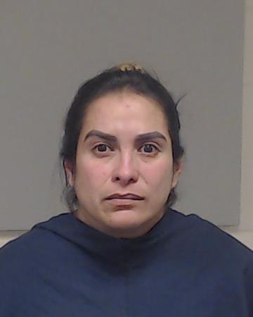 RAMIREZ, LAURA booking photo