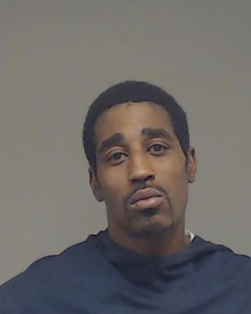 Young, Avis Lee booking photo