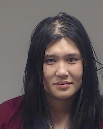 Dinh-Achen, Thy Ngoc arrested by Collin County SO/PD