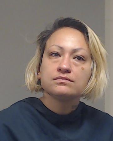 Allison, Cherish Toshia booking photo