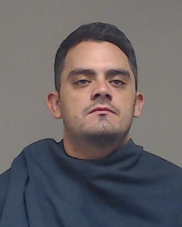 Romero Perez, Sergio David booking photo