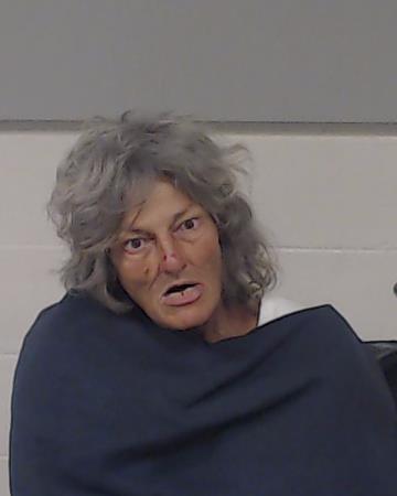 Wellott, Kathleen Rose booking photo
