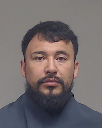 Oliva Villanueva, Gustavo Daniee arrested by Collin County SO/PD