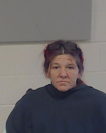 Morales, Mary Frances arrested by Collin County SO/PD