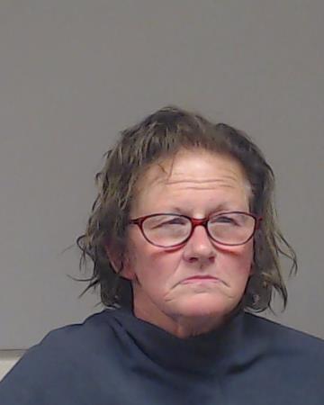 BROWN, RONDA MARIE booking photo