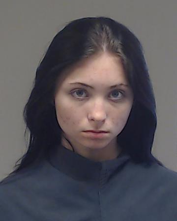 Hollins, Emery Leigh booking photo