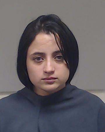 Morillo Raaz, Sergelis Michell booking photo