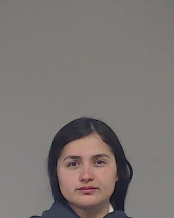 Vielma, Meiby Damelis booking photo