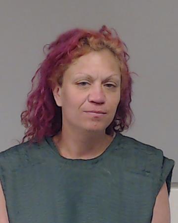 Stein, Candice M. booking photo