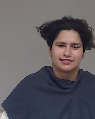 Ballesteros, Jasmin Guadalupe arrested by Collin County SO/PD